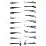 Dental Pick 6.5 15.0 cm (6.0)