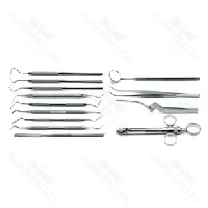13-teiliges Dentalinstrumentenset für Wurzelkanal und Pulpotomie für endodontische Verfahren – surgivalley (090210215)