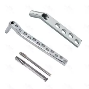 DCS Plates 4 to 12 Holes Set With Leg Screws for Orthopedic Procedures (16-Piece Set, 2 Types) – surgivalley (999210079)