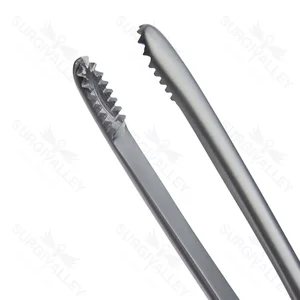 Mayo Russian Dissecting Forceps with Round Toothed End and Flat Thumb Handle for General Surgery