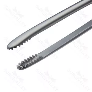 Toothed Dissecting Forcep 6 15.0 cm (6.0)
