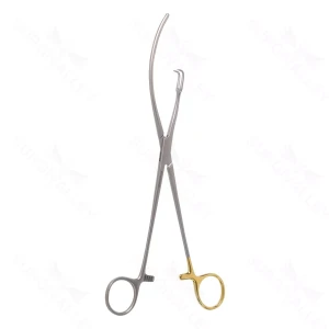 Surgical Tissue Forceps 27.5 cm (11) – surgivalley (001210691)