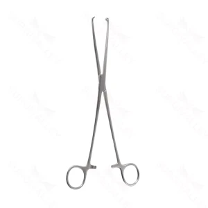 Surgical Tissue Forceps 1x2 Teeth 15.0 cm (6") – surgivalley (001211807)