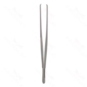 Surgical Tissue Forceps 25.0 cm (10") – surgivalley (001210388)
