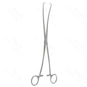 Surgical Tissue Forceps 25.0 cm (10") – surgivalley (001210688)