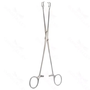10 Schreoder Vulsellum Forceps 2×2 straight – surgivalley (001210692)