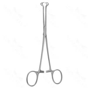 Babcock Tissue Forceps 15.9 cm (6.3) – surgivalley (001210637)