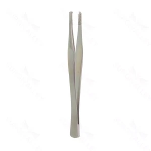 6" Lane组织镊1×2齿