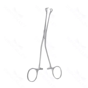 Babcock Tissue Forceps Straight 15.9 cm (6.3) – surgivalley (001210641)