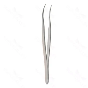 Jewelers Tissue Forceps – surgivalley (001211092)