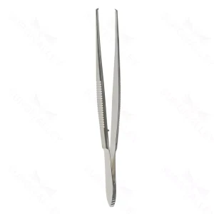 Kuhnt Tissue Forceps 1x2 Teeth Curved – surgivalley (001211009)