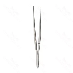 Surgical Tissue Forceps – surgivalley (001211008)