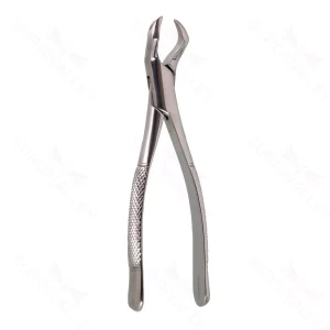 Oral Upper Molar "#90 22.5 cm (9.0)