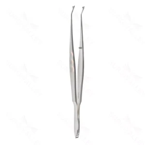 Steinert Tissue Forceps – surgivalley (001211076)