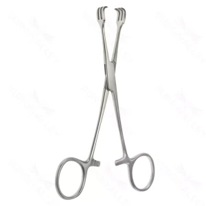 6 ( Triple Hook ) Lahey Traction Forceps 3×3 prong – surgivalley (001211812)