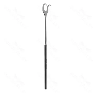 Double Prong Hook 5 5/8 sharp 10mm – surgivalley (005210112)