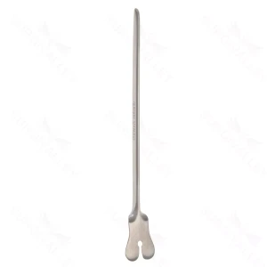 Director and Tongue tie 14 cm 2.5 cm (1") 14.0 cm (5.5)