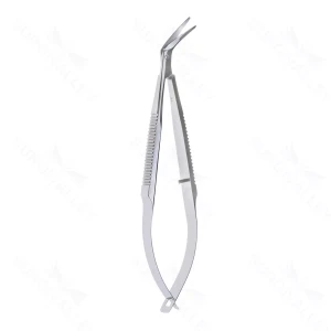 Castro Standard Corn Sect Scissors 14mm blades right – surgivalley (002210803)