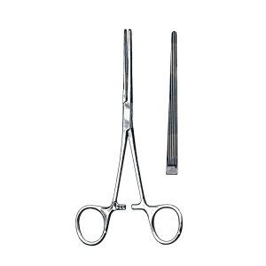 Surgical Tissue Forceps Straight 16.5 cm (6.5) – surgivalley (001211484)