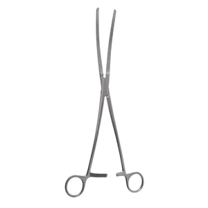 Surgical Hemostatic Forceps Curved 25.0 cm (10) – surgivalley (004210301)