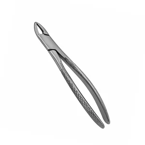138C English Pattern Pedo Extraction Forceps for Pediatric Dental Extractions – surgivalley (001010162)