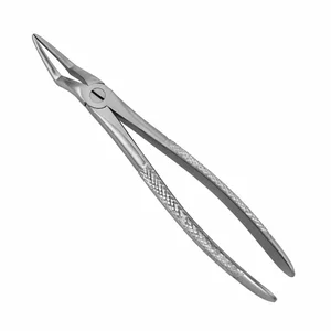 Surgical Tissue Forceps – surgivalley (001010075)
