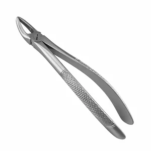 Surgical Tissue Forceps – surgivalley (001010189)