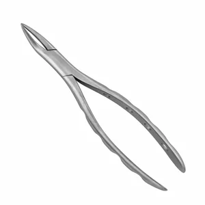 Surgical Tissue Forceps – surgivalley (001010088)
