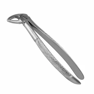 Surgical Tissue Forceps – surgivalley (001010172)
