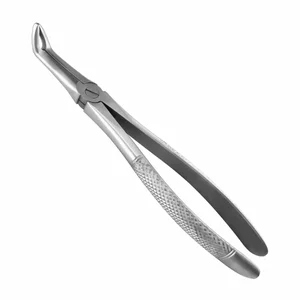 Surgical Tissue Forceps – surgivalley (001010143)