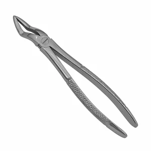 Surgical Tissue Forceps – surgivalley (001010115)