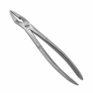 Surgical Tissue Forceps – surgivalley (001010129)