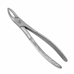 Surgical Tissue Forceps – surgivalley (001010170)