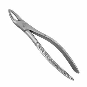 Surgical Tissue Forceps – surgivalley (001010184)