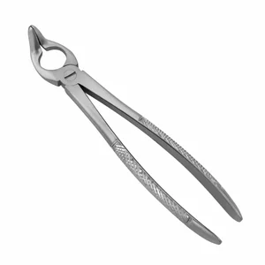 Surgical Tissue Forceps – surgivalley (001010142)