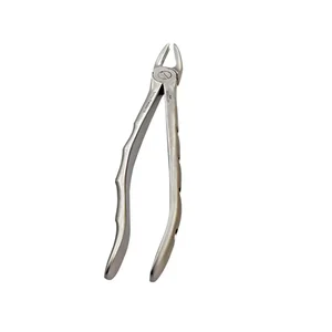 Surgical Tissue Forceps – surgivalley (001010186)