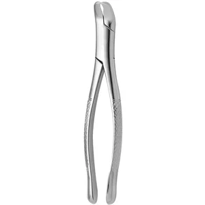 Pinzas para dientes American N. 5