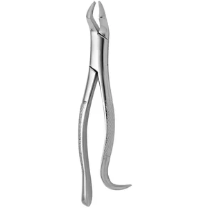 Fórceps para dientes American N.210 – surgivalley (001010218)