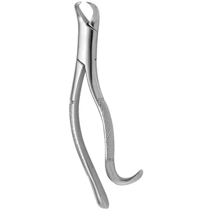 Dental Tooth Forceps American Pediatric Cow Horn No. 16 for Dental Use – surgivalley (001010349)
