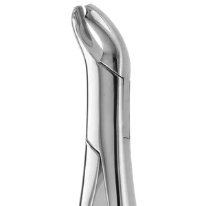Tooth Forceps American Pediatric N. 17 for Dental Procedures – surgivalley (001010356)