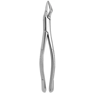 Tooth Forceps American Pediatric N. 65 for Dental Applications – surgivalley (001010331)