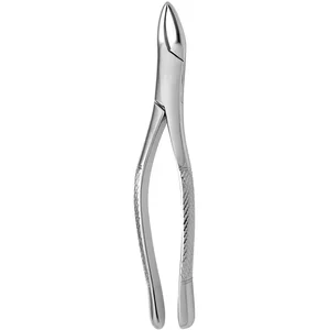Pediatric Tooth Forceps American Pattern N. 69 for Dental Use – surgivalley (001010228)
