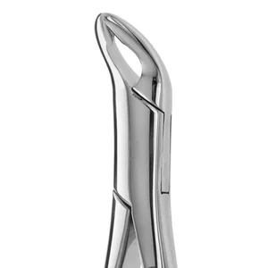 Tooth Extracting Forceps American Pediatric No. 203 - Dental Surgical Grade – surgivalley (001010261)