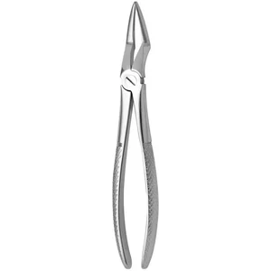 Fórceps para Dentes N. 51-L – surgivalley (001010299)