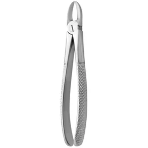 Tooth Extracting Forceps No. 54 - Dental Surgical Grade – surgivalley (001010221)