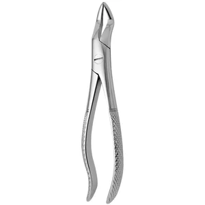 Tooth Extracting Forceps No. 101 A - Dental Surgical Grade – surgivalley (001010223)