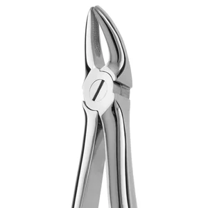 Tooth Extracting Forceps No. 136 - Dental Surgical Grade