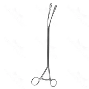 Foerster Tissue Forceps Straight 30.5 cm (12)