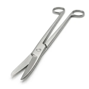Orthopedic Bone Rasp 10.8 cm (4.2) – surgivalley (001212333)