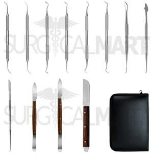 Dental Laboratory Technicians "#1 Set of 12